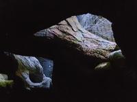 Harry Potter Studios