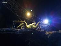 Harry Potter Studios