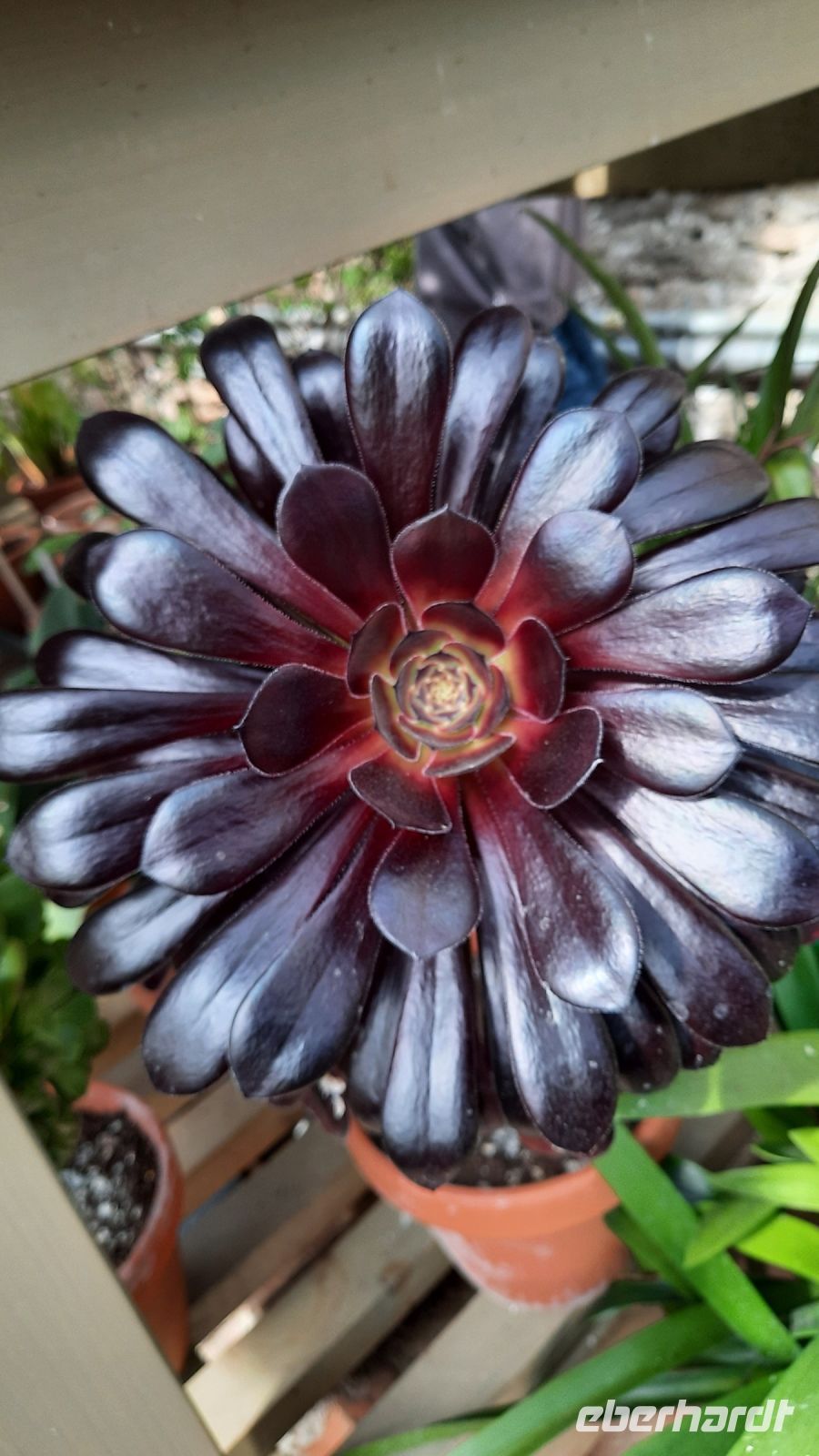 158 – England, Lacock