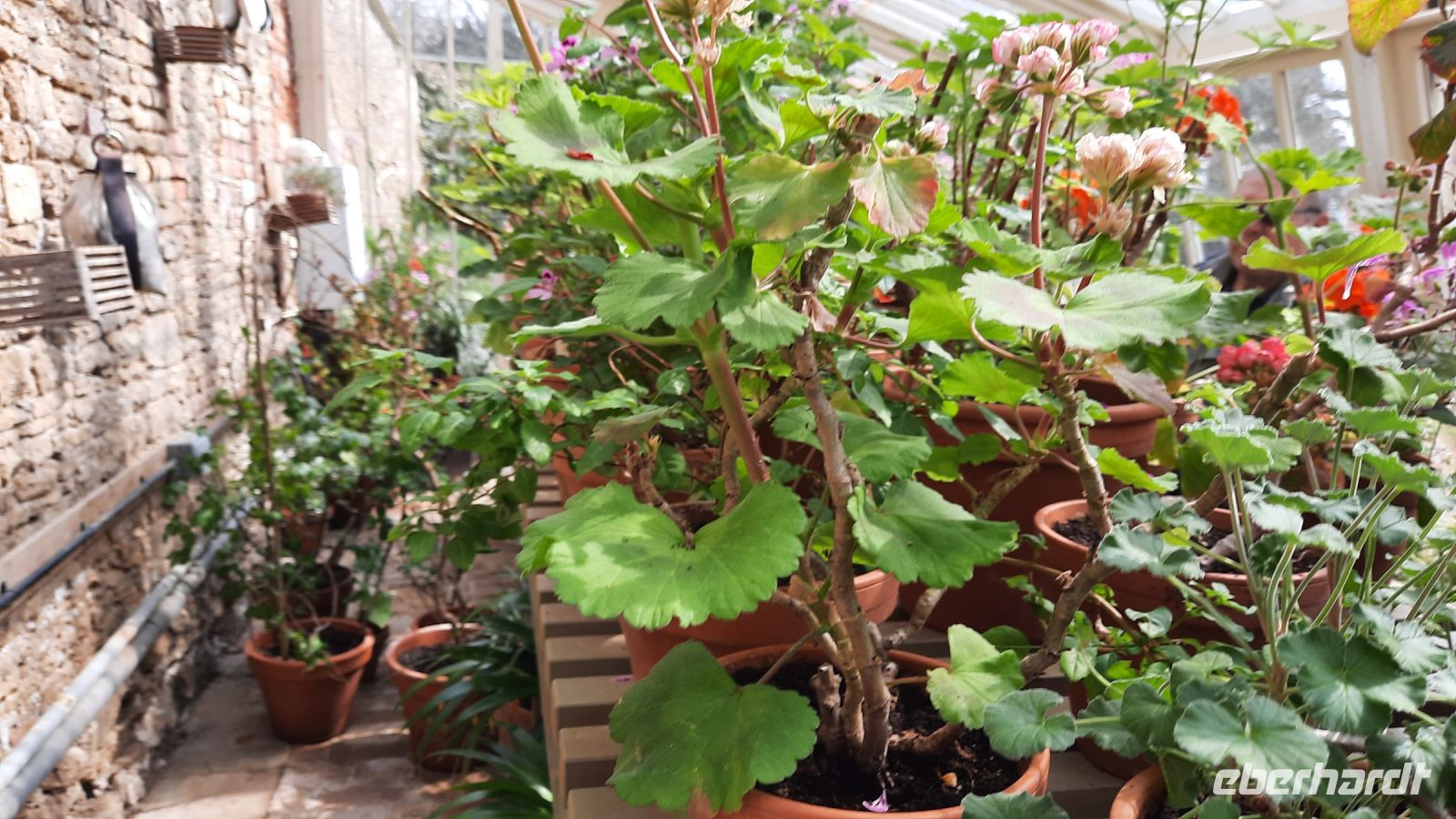 160 – England, Lacock