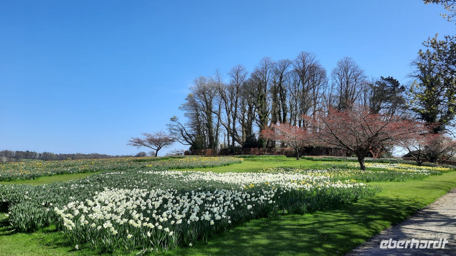 195 – England, Alnwick