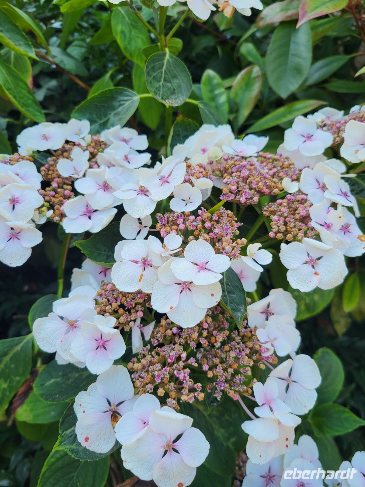 026 – England, Oxford