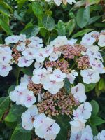 026 – England, Oxford