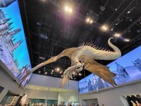 040 – England, London, Harry Potter Studio Tour