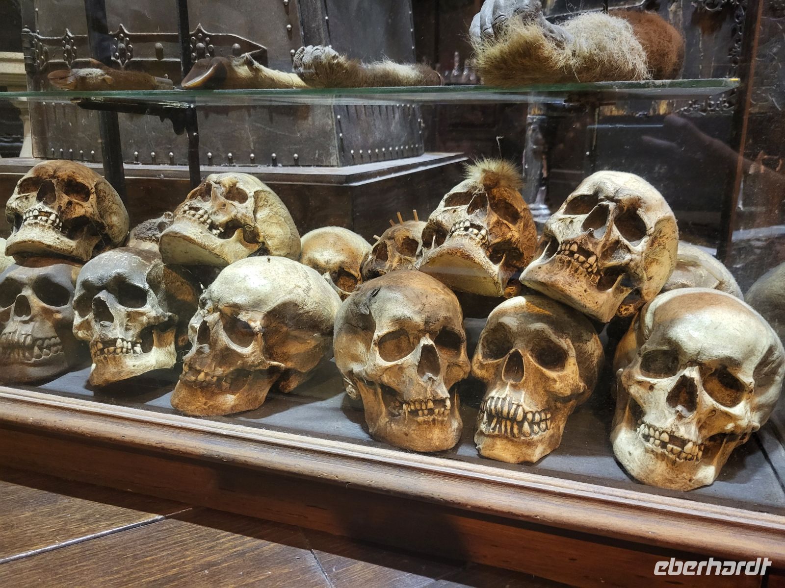 076 – England, London, Harry Potter Studio Tour