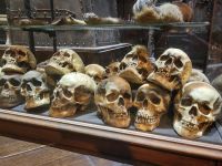 076 – England, London, Harry Potter Studio Tour