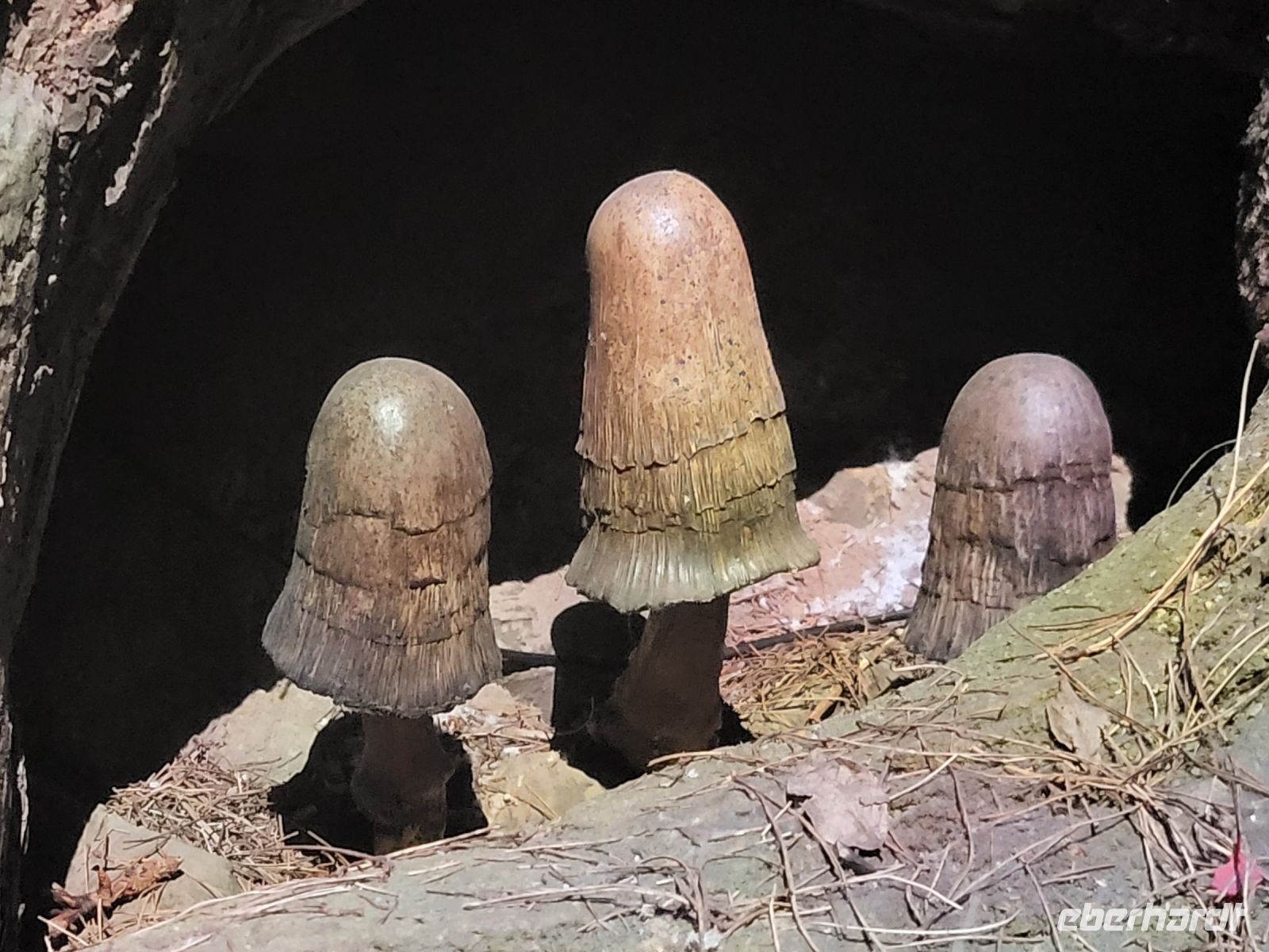 083 – England, London, Harry Potter Studio Tour