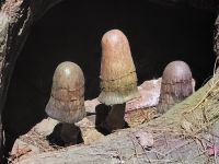 083 – England, London, Harry Potter Studio Tour