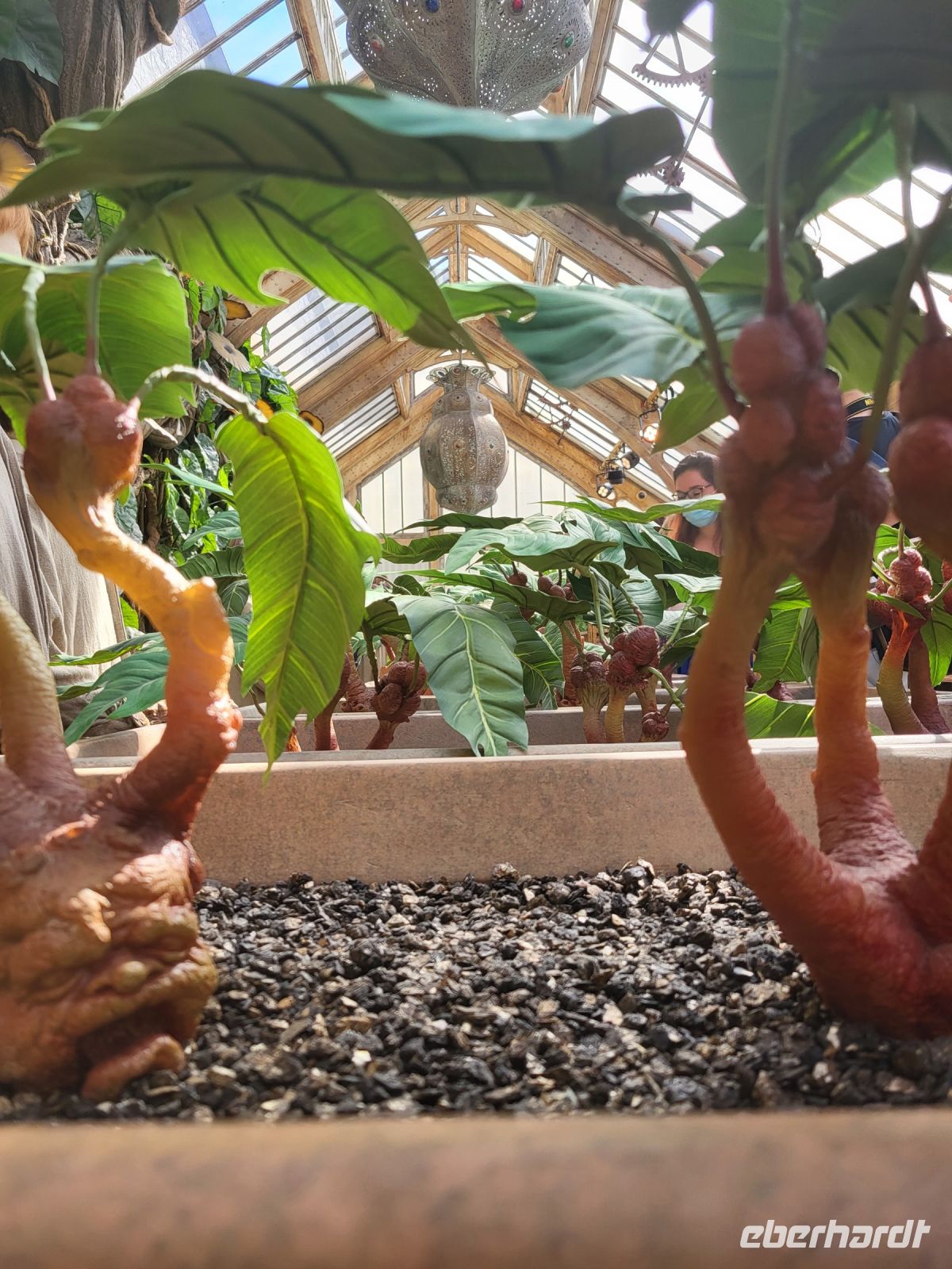 110 – England, London, Harry Potter Studio Tour