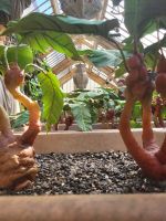 110 – England, London, Harry Potter Studio Tour