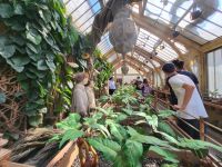 111 – England, London, Harry Potter Studio Tour