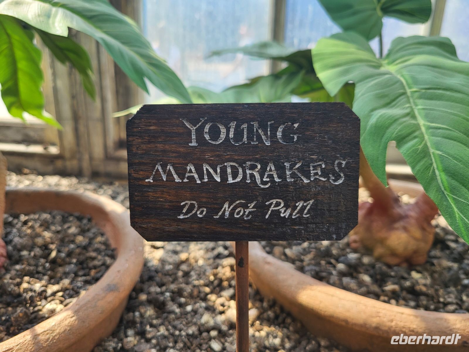 112 – England, London, Harry Potter Studio Tour