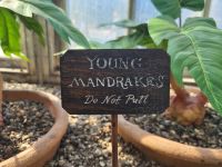 112 – England, London, Harry Potter Studio Tour