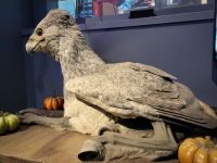 119 – England, London, Harry Potter Studio Tour