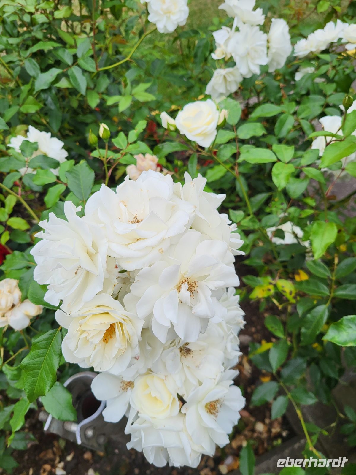 182 – England, York