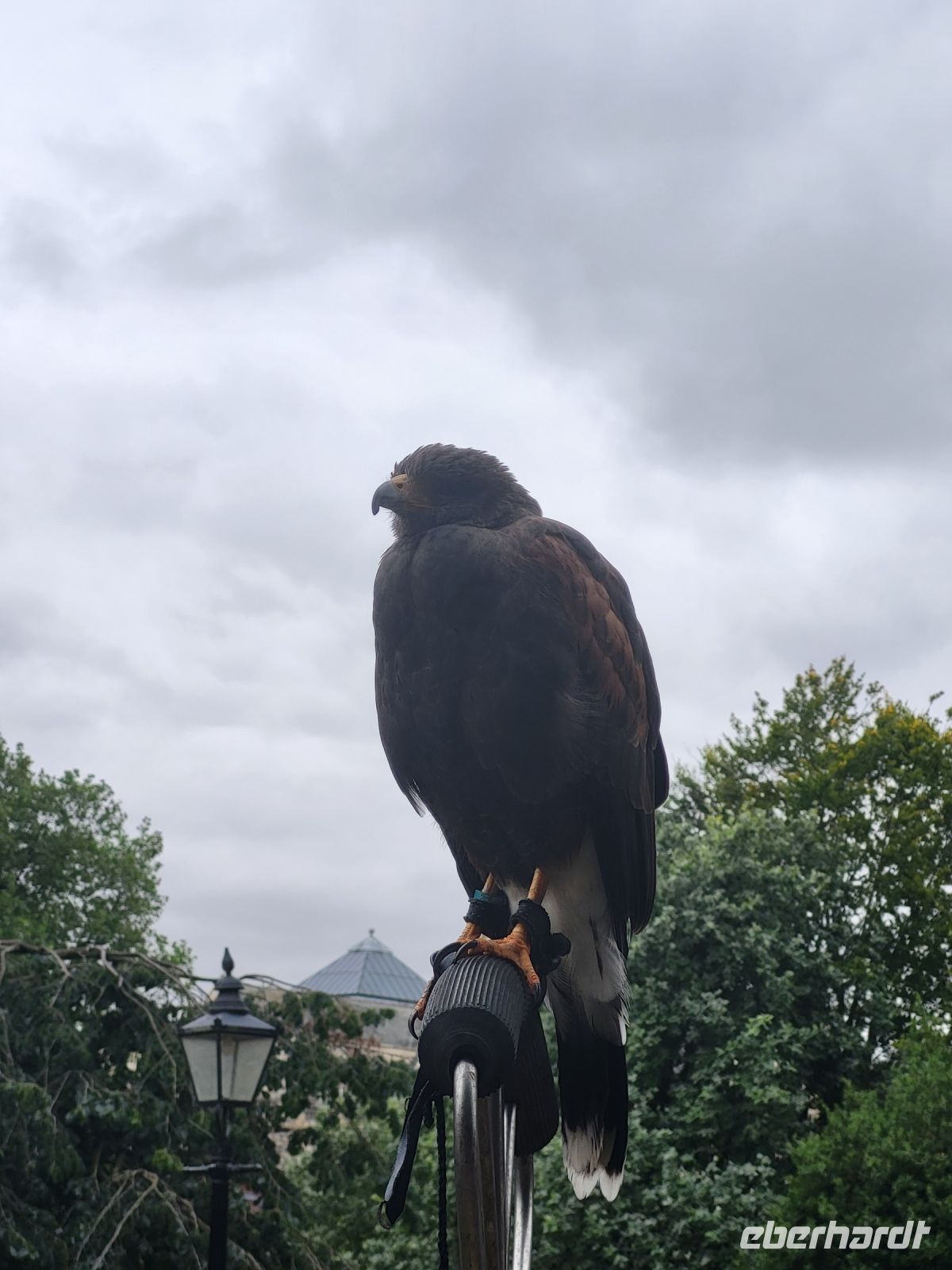 183 – England, York