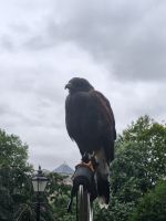 183 – England, York