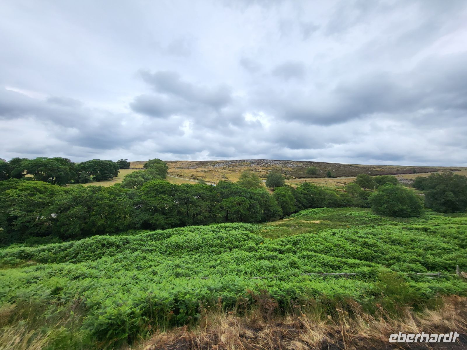 197 – England, Pickering Goathland Zugfahrt