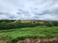 197 – England, Pickering Goathland Zugfahrt