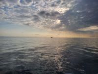 202 – Überfahrt Newcastle Amsterdam