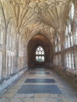 Gloucester Cathedral