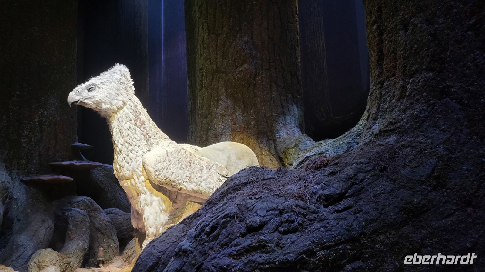 104 – England, Harry Potter Studio Tour