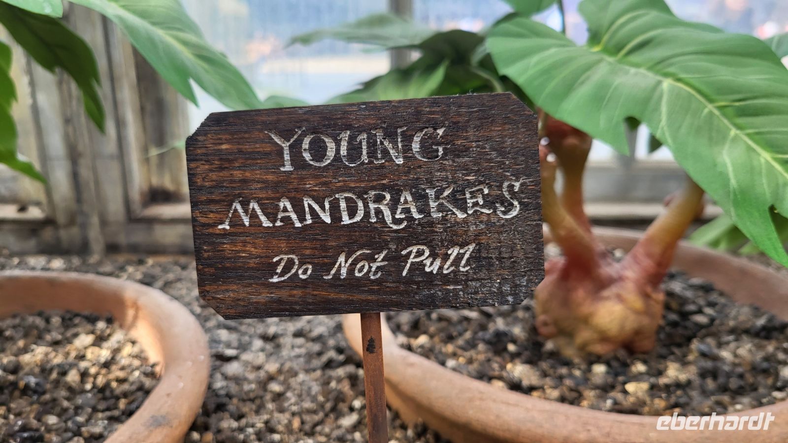 116 – England, Harry Potter Studio Tour