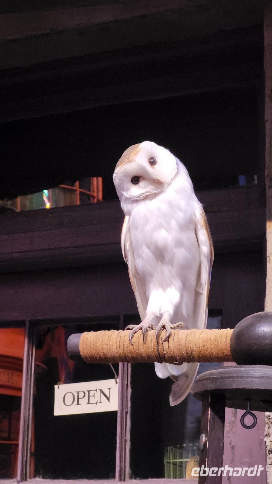 147 – England, Harry Potter Studio Tour