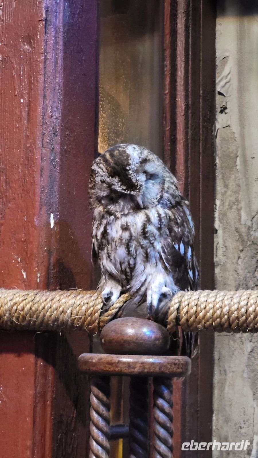 148 – England, Harry Potter Studio Tour