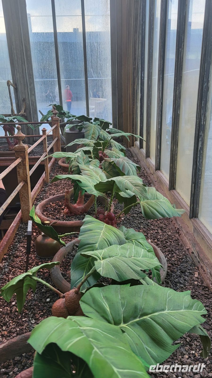 102 - England, Harry Potter Studio Tour