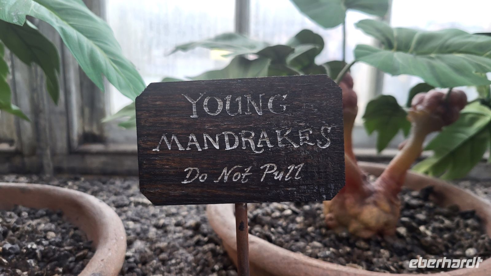 103 - England, Harry Potter Studio Tour