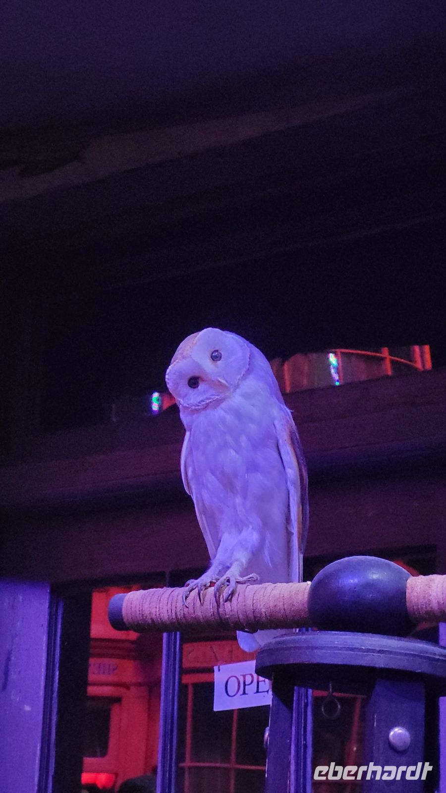 120 - England, Harry Potter Studio Tour