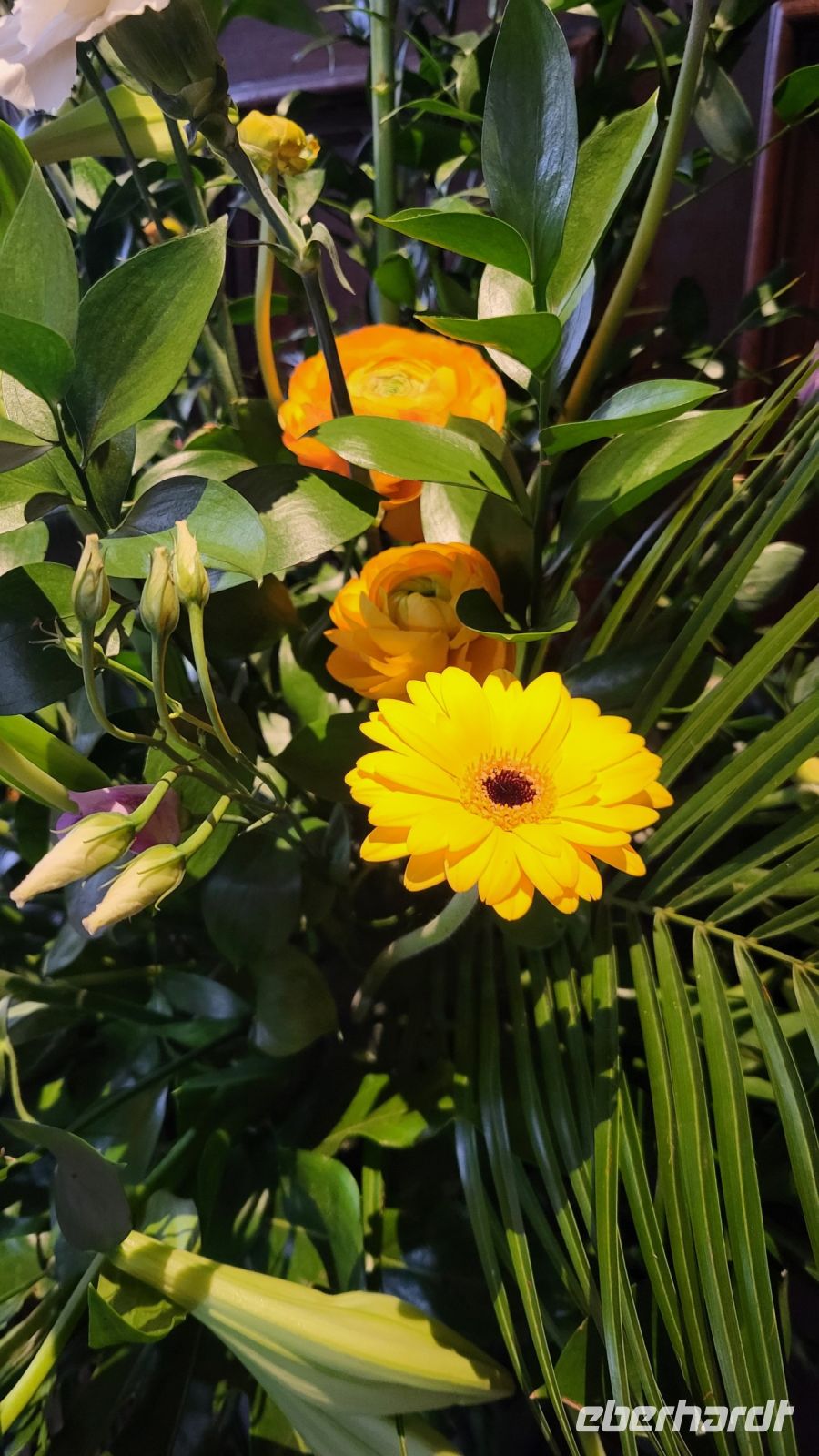 056 – England, Oxford, Christ Church College