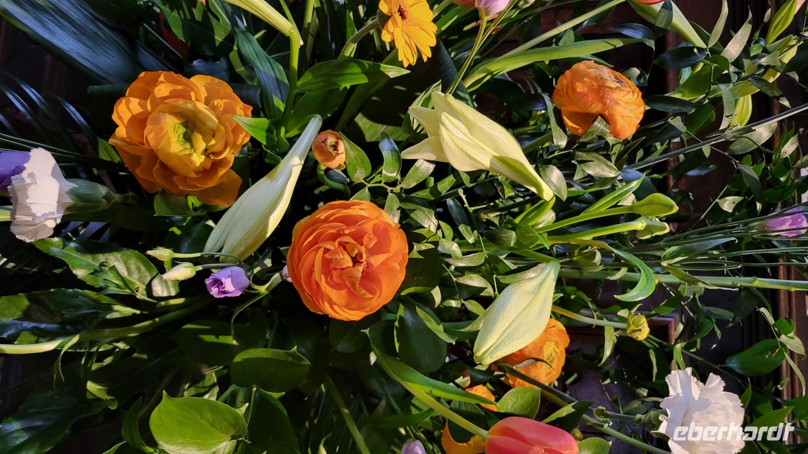 057 – England, Oxford, Christ Church College