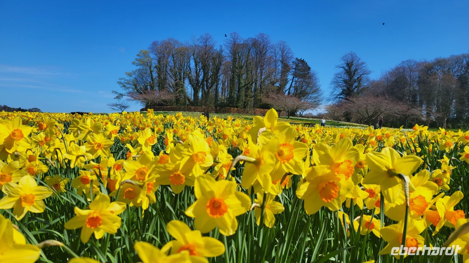 146 – England, Alnwick