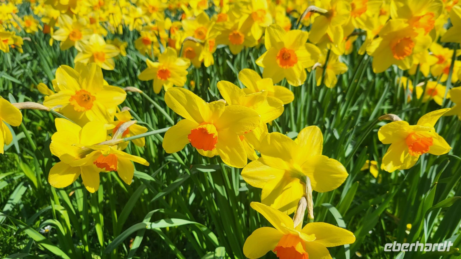 147 – England, Alnwick