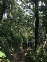 Wandern Richtung St. Ives