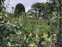 Blumen und Gemüse im Einklang zusammen - Lost Garden of Heligan