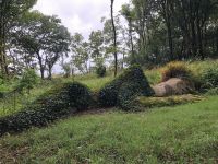 Schlamm-Lady im Lost Garden of Heligan
