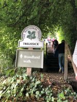 Waldwanderung Trelissik