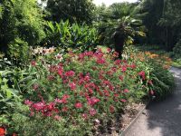 Blumenpracht Trelissik Garden