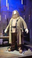 047 – Harry Potter Studio Tour