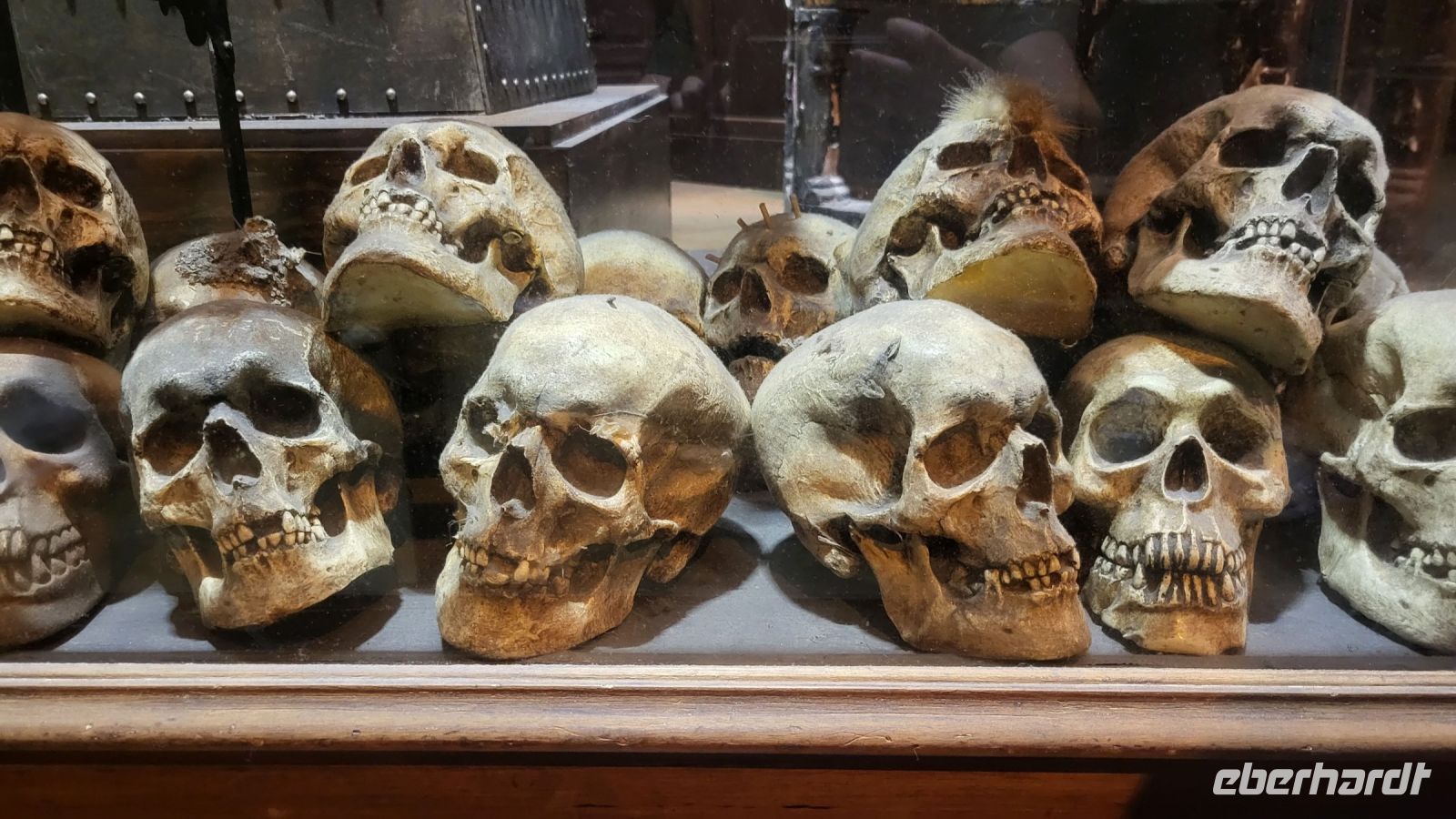 079 – Harry Potter Studio Tour