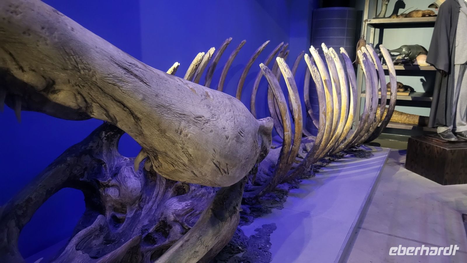 109 – Harry Potter Studio Tour