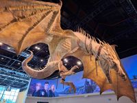 Welcome! Warner Bros. Filmstudios