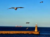 Harwich. Die Stena Line Fähre läuft aus