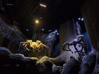 Warner Bros. Filmstudio. Riesenspinnen