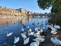 Windsor. Blick nach Eton