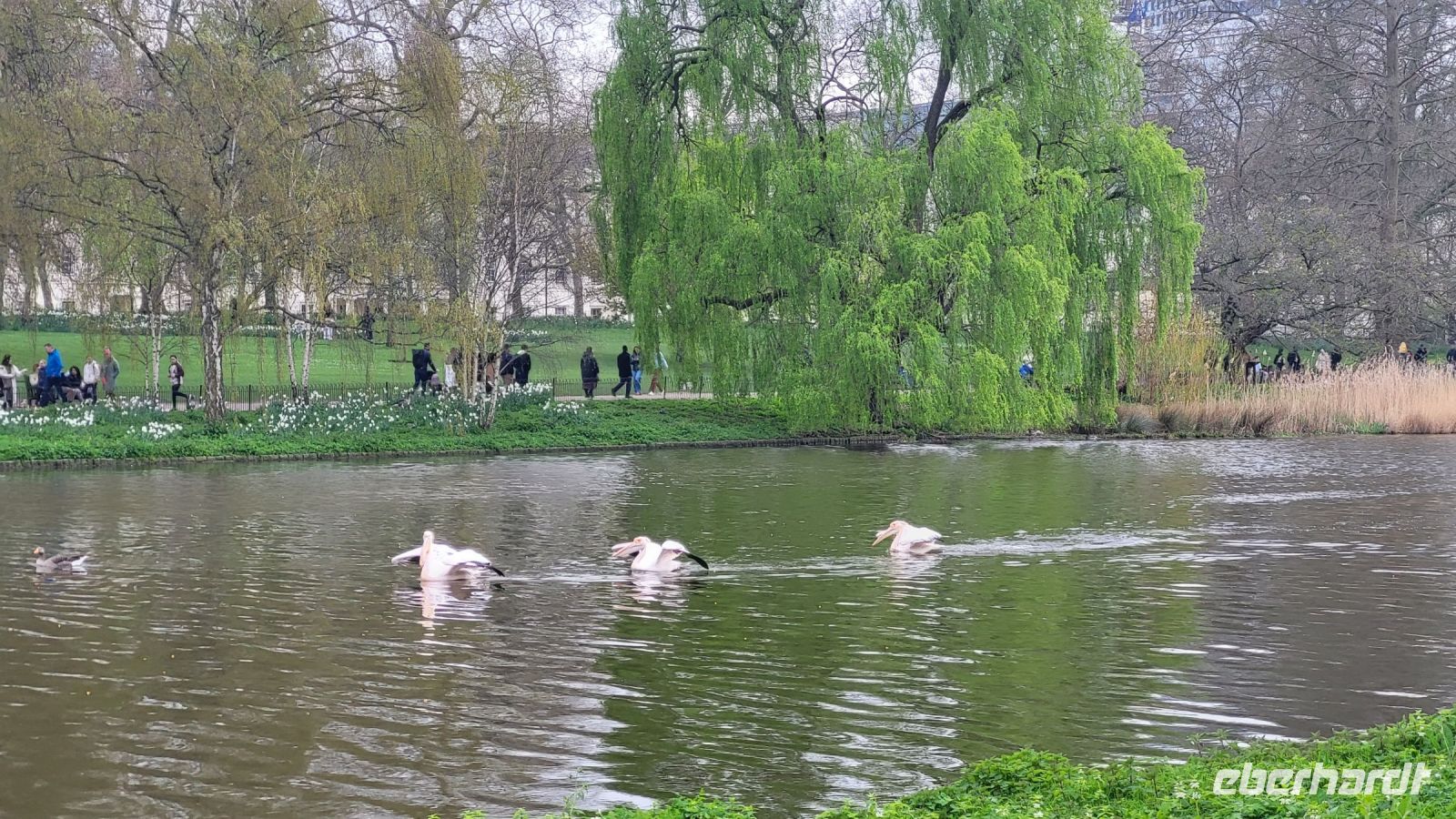 017 – London, St. James’s Park