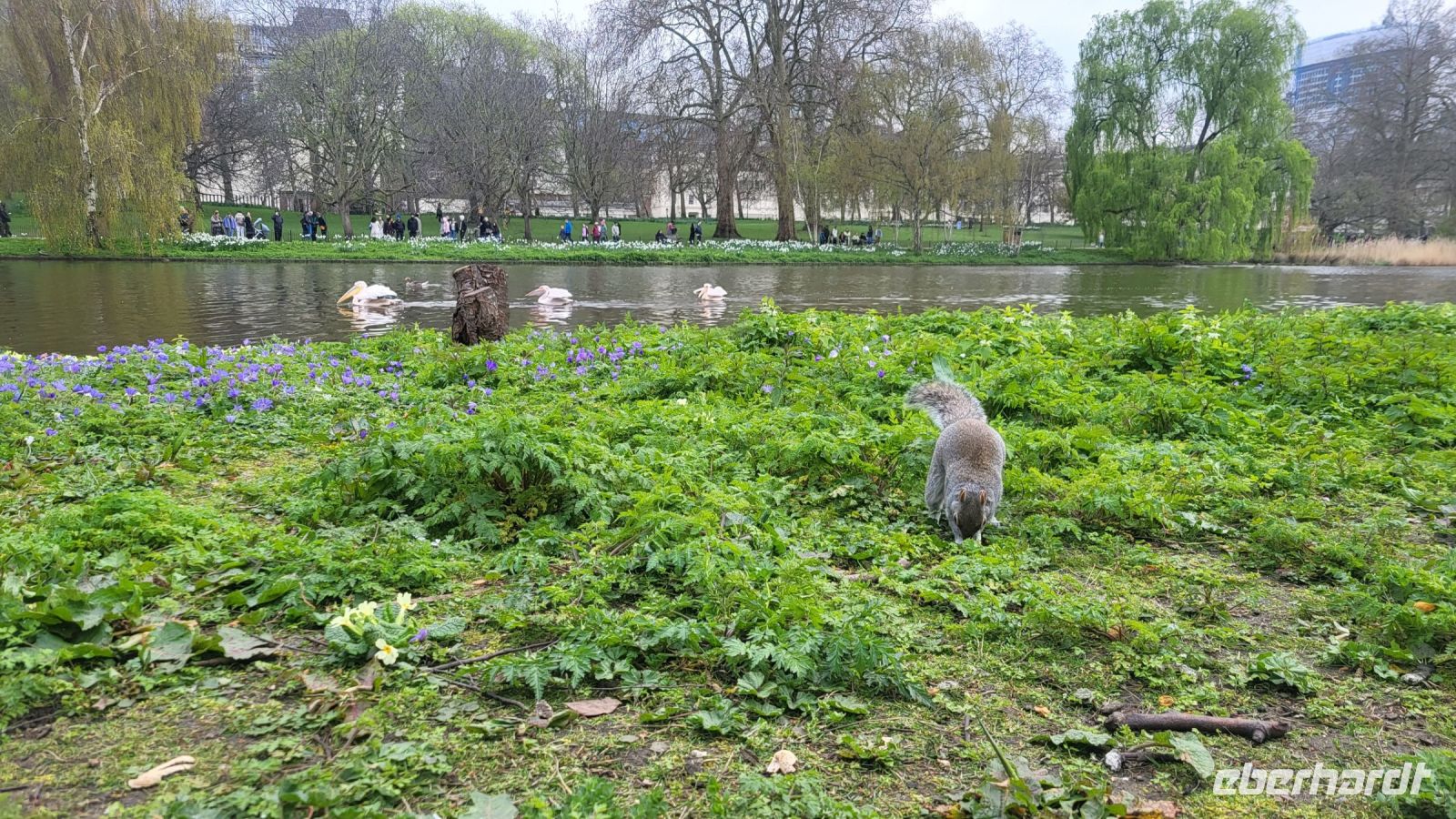 019 – London, St. James’s Park
